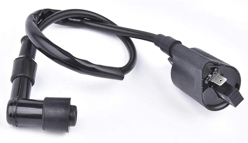 COIL IGNITION HT & CAP, 21121-1170, 21121-1126, 21121-1230.,