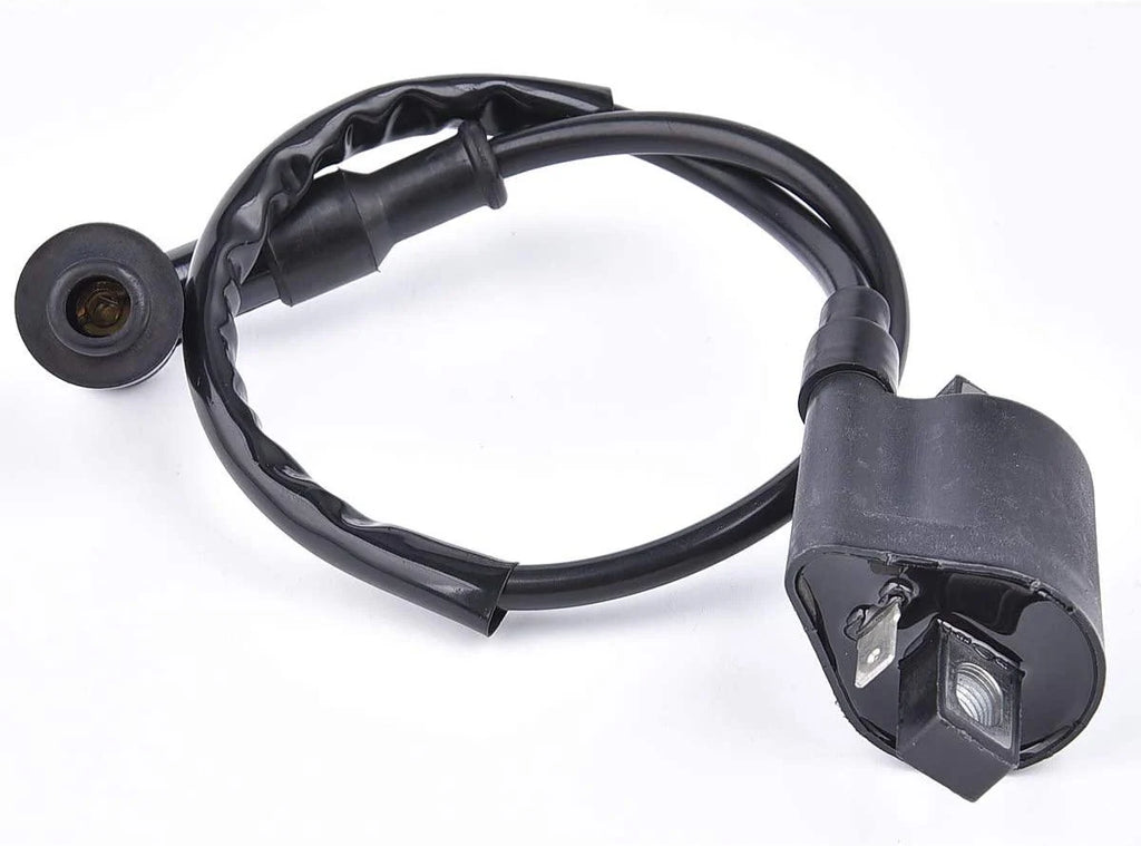 COIL IGNITION HT & CAP, 21121-1170, 21121-1126, 21121-1230.,