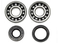 CRANKSHAFT BEARING & SEAL KIT, PSYCHIC MX-09658 KX125 88-05, ALLBALLS 24-1008