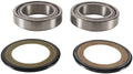 STEERING STEM BEARING AND SEAL KIT 95-18 APRILIA DUCATI PIVOT WORKS PWSSK-D01-000