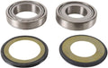 STEERING BEARING KIT RM RD, PIVOT WORKS PWSSK-Y10-000