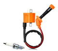 IGNITION COIL + CAP YAMAHA BIG BEAR RAPTOR GRIZZLY 4RP-82310-29-00 3KJ-82310-10-00