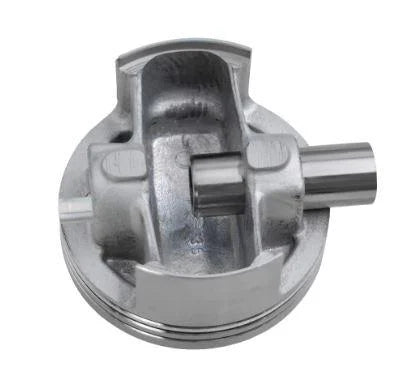 PISTON KIT 74.50 YBR250 XG250 YFM25R XT250 YS250, OVER SIZE 0.50