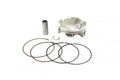PISTON KIT 2022-22 KX250 Kawasaki 78mm, WISECO 40273M07800B, ArmorGlide