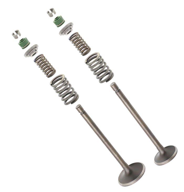 VALVE SPRING & SEAL REPAIR KIT HONDA XR200R 81-91 XL185S 79-83 ATC200 14711-437-000