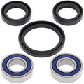 WHEEL BEARING & SEAL KIT DR, PROX 23.S110052 YAM ATV