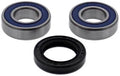 WHEEL BEARING KIT FRONT 89-20 DR/DRZ 250-650/RMX250, ALLBALLS 25-1051 DIRT