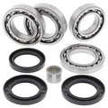 DIFFERENTIAL KIT REAR WILDCAT, ALLBALLS 25-2101 ARCTIC CAT