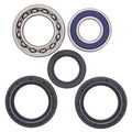 WHEEL BEARING KIT REAR 99-14 YAMAHA YFM 250-600, ALLBALLS 25-1139 ATV