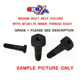 M20X90 BOLT INNER THREAD M12, EACH