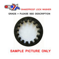 M30 SHAKEPROOF LOCK WASHER SC