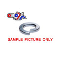 M8 SPRING LOCK BZP WASHER