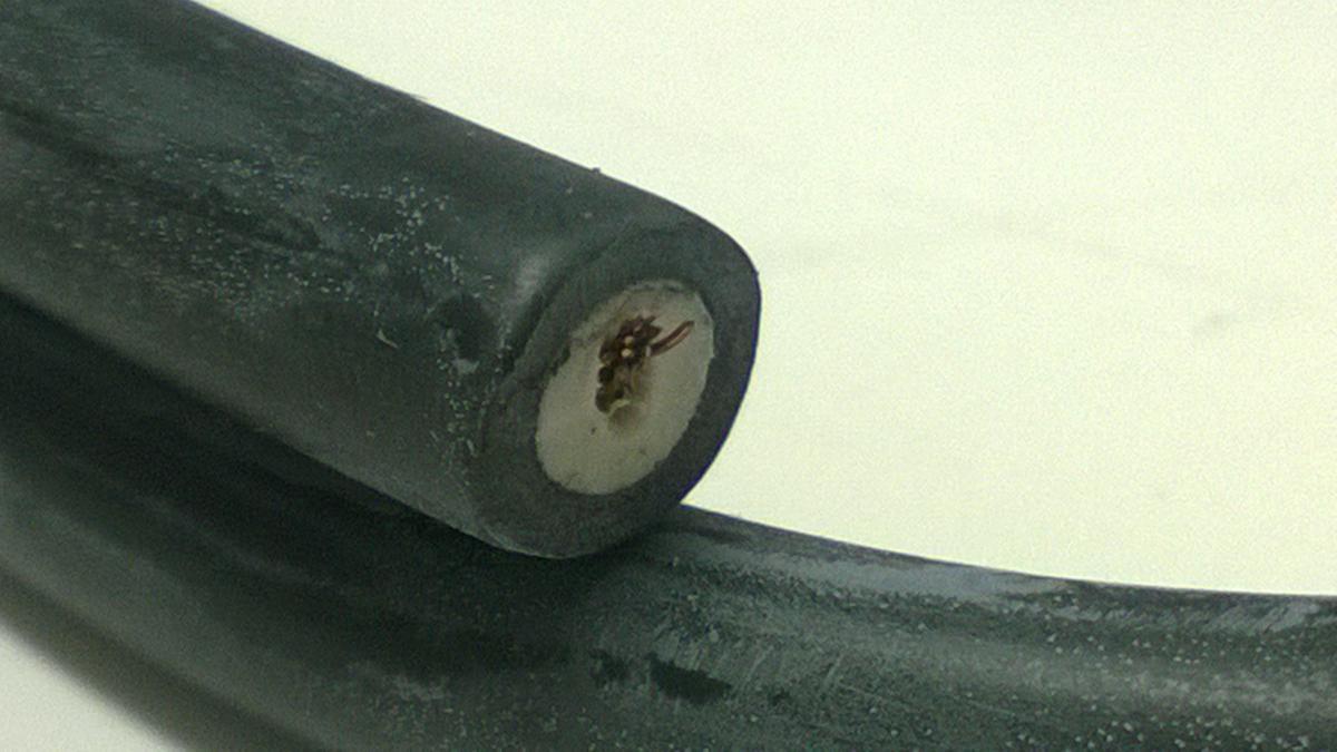 S/SEED SAME AS 44-050    .........................  COIL IGNITION 30510-HM7-003, HONDA TRX450F 1995-2004, DZE 4018, IHA0002