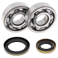 CRANKSHAFT BEARING & SEAL KIT, ALLBALLS 24-1110 Gas-Gas