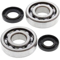 CRANKSHAFT BEARING & SEAL KIT, ALLBALLS 24-1010 KX250 87-01