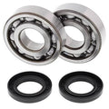 CRANKSHAFT BEARING & SEAL KIT, ALLBALLS 24-1011 KX500 83-04