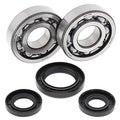 CRANKSHAFT BEARING & SEAL KIT, ALLBALLS 24-1028 YZ250 98-00