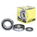 CRANKSHAFT BEARING + SEAL KIT, PROX 23.CBS33007 RMZ250 07-09