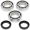 CRANKSHAFT BEARING & SEAL KIT, ALLBALLS 24-1077 POLARIS