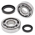 CRANKSHAFT BEARING & SEAL KIT, ALLBALLS 24-1091 RMX250 89-94