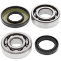 CRANKSHAFT BEARING & SEAL KIT, ALLBALLS 24-1071 RT180 90-98