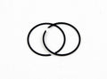 RINGS 1535CDM 39.00mm WISECO