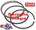 810XSY 81.00 WOSSNER