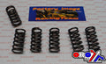 CLUTCH SPRING HD SET/6 [CSK006]