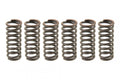 CLUTCH SPRING SET/6 CSK014