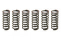 CLUTCH SPRING KIT SET/6 EBC CSK049