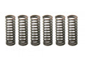 CLUTCH SPRING SET/6 EBC CSK058