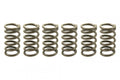 CLUTCH SPRING SET/6 EBC CSK007