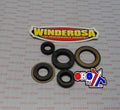 OIL SEAL SET TTR225 TTR230, WINDEROSA 822308