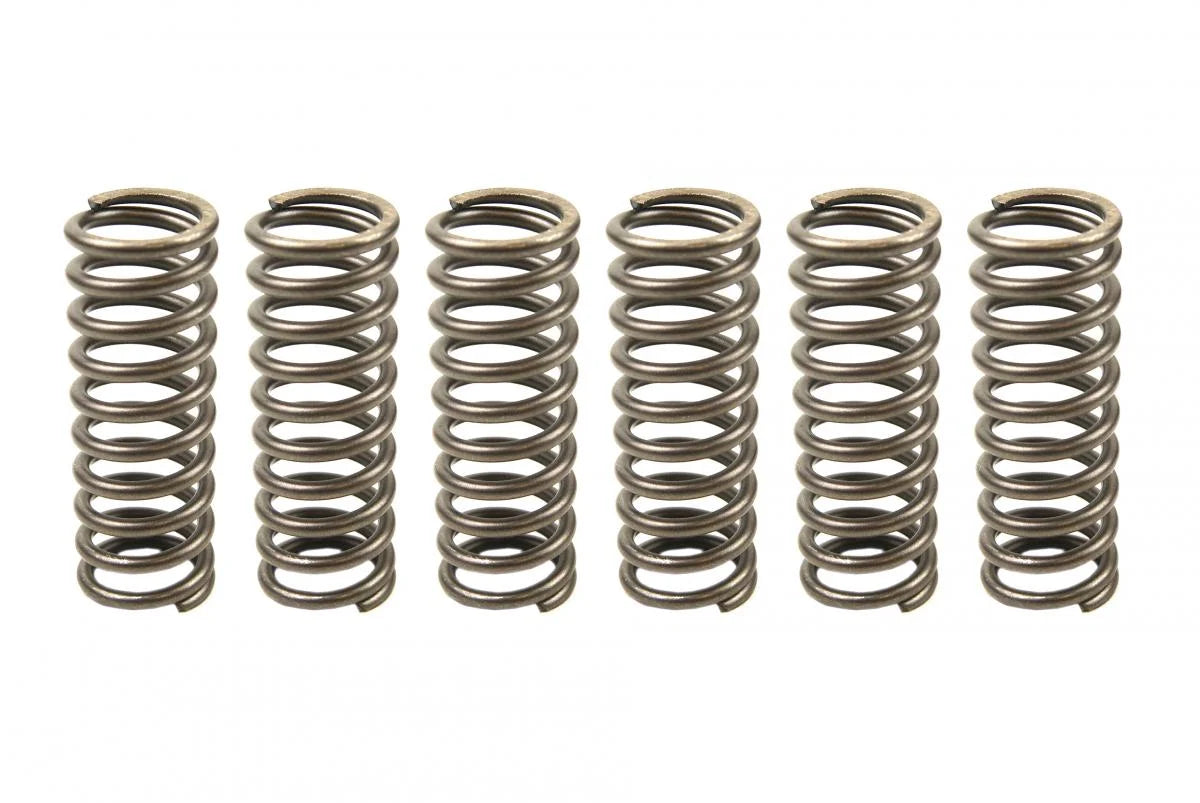 CLUTCH SPRINGS EBC CSK215