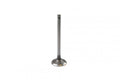 VALVE EXHAUST XT TT-R225, PROX 28.2396-1 5HO-12121-00