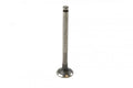 VALVE EXHAUST XR50, Z50, CRF50, PROX 28.1040-1 14721-GK4-601