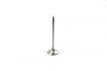 VALVE EXHAUST DR250/350 90-96 WHITE DIAMOND SS, KIBBLEWHITE 60-6029H STAINLESS, WHITE DIAMOND