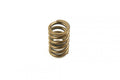 SPRING VALVE IN CRF450 02-08, SOLD INDIVIDUALLY