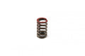 SPRING VALVE EXHAUST KXF450, 49078-0018