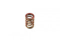 SPRING EX RMZ450 05-09