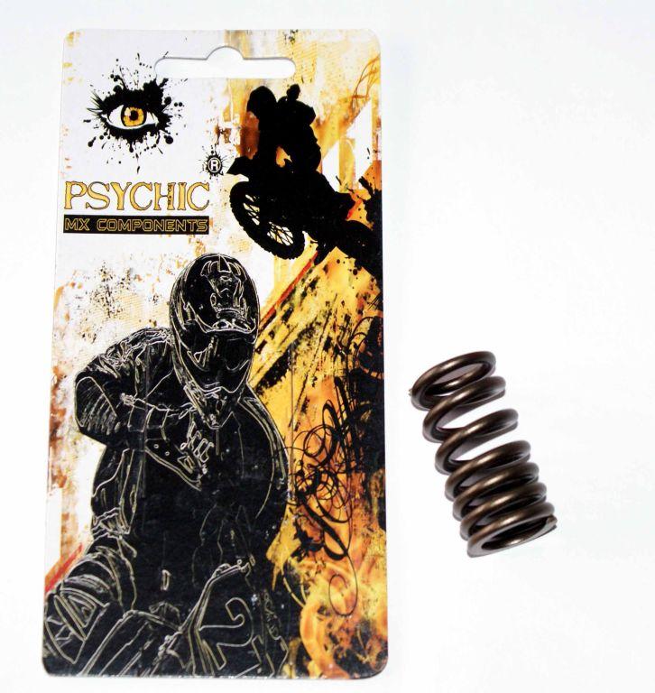 SPRING IN VALVE RMZ450 LTR450, PSYCHIC XU-09536IS