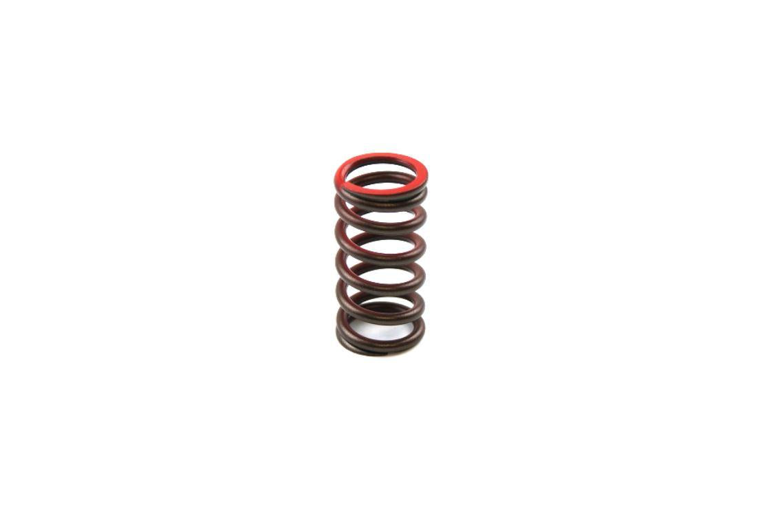 SPRING VALVE EX YZF250 01-14, 5NL-12114-10-00 EXHAUST GASGAS, XU-09519ES