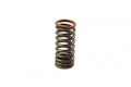 SPRING INTAKE VALVE CRF250R, XU-09532IS 14751-KRN-A41