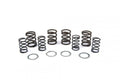 SPRING VALVE KIT, XR500/600, KIBBLEWHITE 30-4081, 460 LIFT