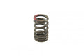 SPRING VALVE INTAKE KX250F 11-, PSYCHIC XU-09539IS 49078-0080