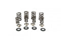 VALVE SPRING KIT KTM250 05-07, KIBBLEWHITE 96-96090 RACING