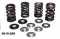 VALVE SPRING SET CRF450 09-12, KIBBLEWHITE 30-31250 RACING, LIGHTWEIGHT KIT