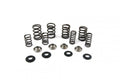 VALVE SPRING SET RMZ450 05-06, KIBBLEWHITE 60-60240 RACING, LIGHTWEIGHT RACING
