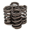 VALVE SPRING SET YFM700, 2006-2012 KIBBLEWHITE 80-80412