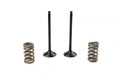 KIT EX VALVE+SPRING YZF250, PROX 28.SES2414-1 WRF250 15-17, EXHAUST